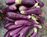 A picture of step 7 of Gutthi vankaya.