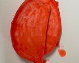 A picture of step 1 of Japanese Flag 🇯🇵 Roll Sushi.