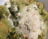 Foto del paso 7 de la receta Hamburguesas de brócoli ¡quien me ha visto y quién me ve! 😂😂😂😂😂