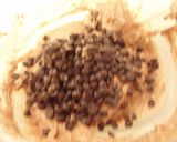 A picture of step 4 of For Valentine's Day! Chocolate Chip Muffins.
