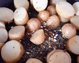 A picture of step 5 of Sig's Tomato Fusion.