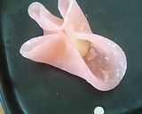 A picture of step 8 of Elegant Japanese Sweets (Jo-Namagashi) for Spring.