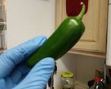 Jalapeo Paprika recipe step 1 photo