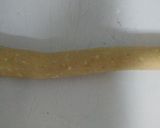 Foto del paso 6 de la receta: Mandocas