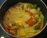 Japanese-Style Green Curry recipe step 6 photo