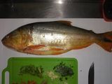 Dorado relleno a la parrilla