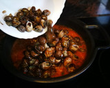 Foto del paso 10 de la receta: Caracoles en salsa
