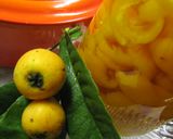 A picture of step 19 of Loquat Compote in 20 Minutes.
