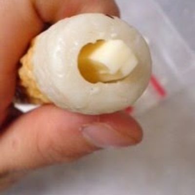 Crispy & Creamy Double Cheese Chikuwa Recipe By Cookpad.Japan