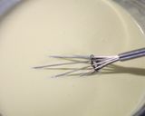 A picture of step 6 of NY Cheesecake.