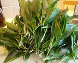 Une image de l'étape 1 de Pesto d'ail des ours.
