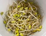黃豆芽排骨湯的食譜步驟1照片