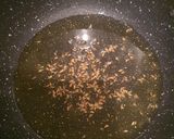 A picture of step 3 of Mushroom Masala Curry 🍄🍛🌶.