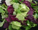 Foto del paso 1 de la receta: Ensalada con granada y mango