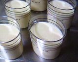 A picture of step 12 of Milk Bavarois.