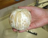 A picture of step 5 of The Absolutely Best Way To Peel Grapefruit.