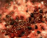 A picture of step 4 of Star's Cranberry Sauce.
