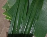 Foto langkah ke 2 dari resep Kue keranjang gurih.