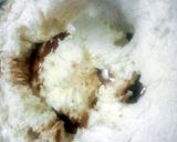 A picture of step 3 of Grandma Elsie's Potato Chip Cookies.