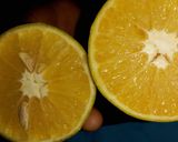 A picture of step 2 of Freshly Squeezed Orange drink.