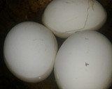 முட்டை மசாலா ரெசிபி ஸ்டேப் 1 புகைப்படம்