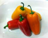 Jungle Curry recipe step 1 photo