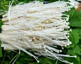 Hình bước làm 3 của món Lẩu gà