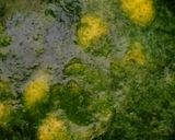 Foto del passaggio 2 della ricetta Sciroppo alla menta