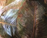 A picture of step 4 of Leaf Moi Moi.