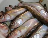 A picture of step 1 of Winter Delight: Simmered Sailfin Sandfish.