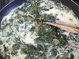 Salsa blanca con acelga