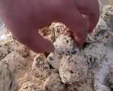Foto del paso 4 de la receta: Alcachofas en salsa