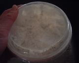 A picture of step 2 of Scone-Style Biscuits in a Microwave and a Frying Pan.