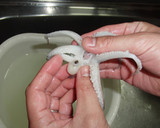 A picture of step 5 of How to Prepare Squid.
