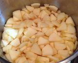 Foto del paso 2 de la receta: Mermelada de Manzana casera