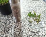 Foto del paso 4 de la receta: Consomé de res con garbanzo y arroz en olla de cocción lenta
