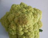 Foto del passaggio 1 della ricetta Polpette di broccolo e amenta