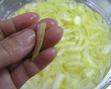 A picture of step 3 of Shishi Yuzu (Lion Yuzu) Citrus Jam.