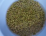 Foto langkah ke 1 dari resep Sari kacang hijau.