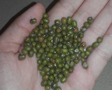 Foto del paso 1 de la receta: Ensalada templada con semillas de soja