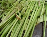 Foto langkah ke 1 dari resep Sayur Lumbu (Lompong).