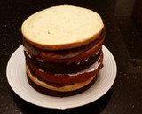 A picture of step 24 of Neapolitan Layer Cake.