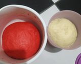 Foto langkah ke 4 dari resep Artisan Bread Merah Putih (Tanpa Ulen).