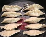 A picture of step 12 of Gyoza Dumplings with Alpine Leek.