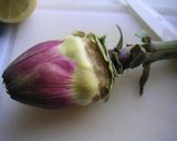 A picture of step 2 of How To Prepare Artichokes.