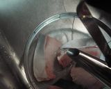 A picture of step 1 of Easy Simmered Yellowtail.