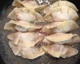 A picture of step 16 of Gyoza Dumplings with Alpine Leek.