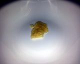 A picture of step 1 of Herb Grilled Chicken.