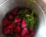 બીટ પાલક નો જ્યુસ (beet spinach juice recipe in Gujarati) રેસીપી સ્ટેપ2ફોટો
