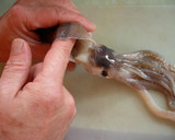 A picture of step 2 of For Beginners - How to Prepare a Squid.